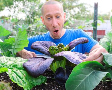 5 Crops That Grow FASTER Than WEEDS!