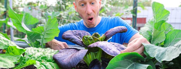 5 Crops That Grow FASTER Than WEEDS!