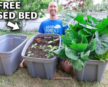 How to Build a RAISED BED in a TOTE, FREE Container Gardening!