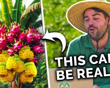 Gardeners React to Best & WORST Garden Hacks