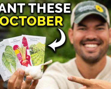 11 Crops You Can Still Plant in October RIGHT NOW