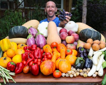 Big October Garden Harvest! Local Food at its Best! 🍅🌶️🥒