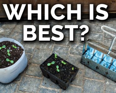 We Tested The 3 Most Popular Seed Starting Methods