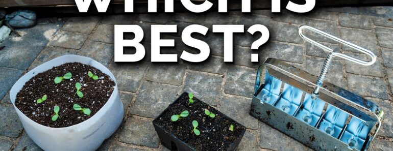 We Tested The 3 Most Popular Seed Starting Methods