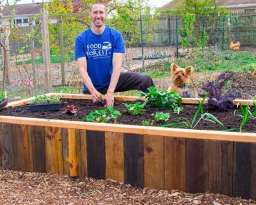 How to Build a RAISED BED Using PALLETS, FREE Backyard Gardening