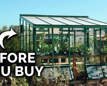 What I Wish I Knew BEFORE I Got A Greenhouse