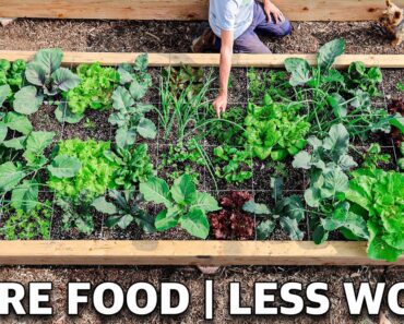 Using SQUARE FOOT Gardening Easily DOUBLED the Harvests