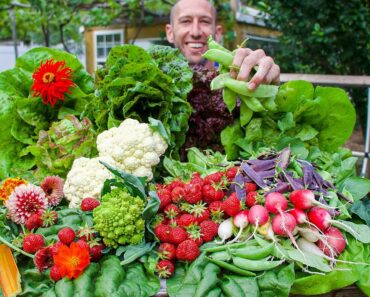 Massive Spring Garden Harvest 2022, Backyard Organic Gardening