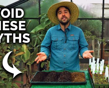 Don’t Make THESE Seedling Mistakes