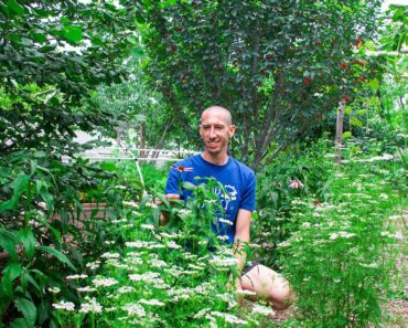 Over 35 Edible Perennials in a Backyard Garden, Fruits You Have NEVER Seen! Over 35 Edible Perennials in a Backyard Garden, Fruits You Have NEVER Seen!