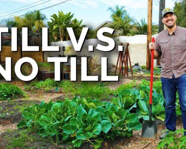 Why I Decided To Till My Garden