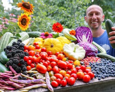 Astonishing July Garden Harvest 😮