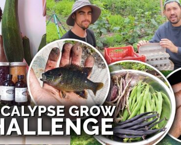 I Survived 30 Days on Gardening, Fishing, Foraging & Bartering