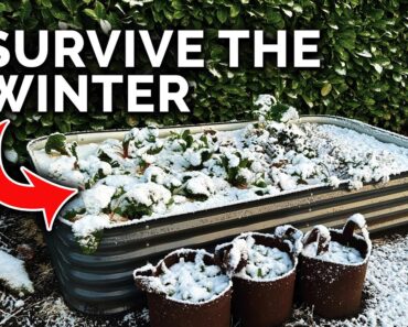 11 Winter Tasks To Guarantee an Abundant Garden Next Year