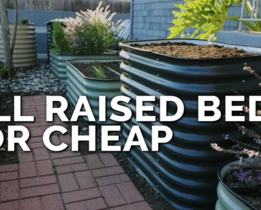 How to Fill a Raised Bed and Save 60%+ on Soil Costs