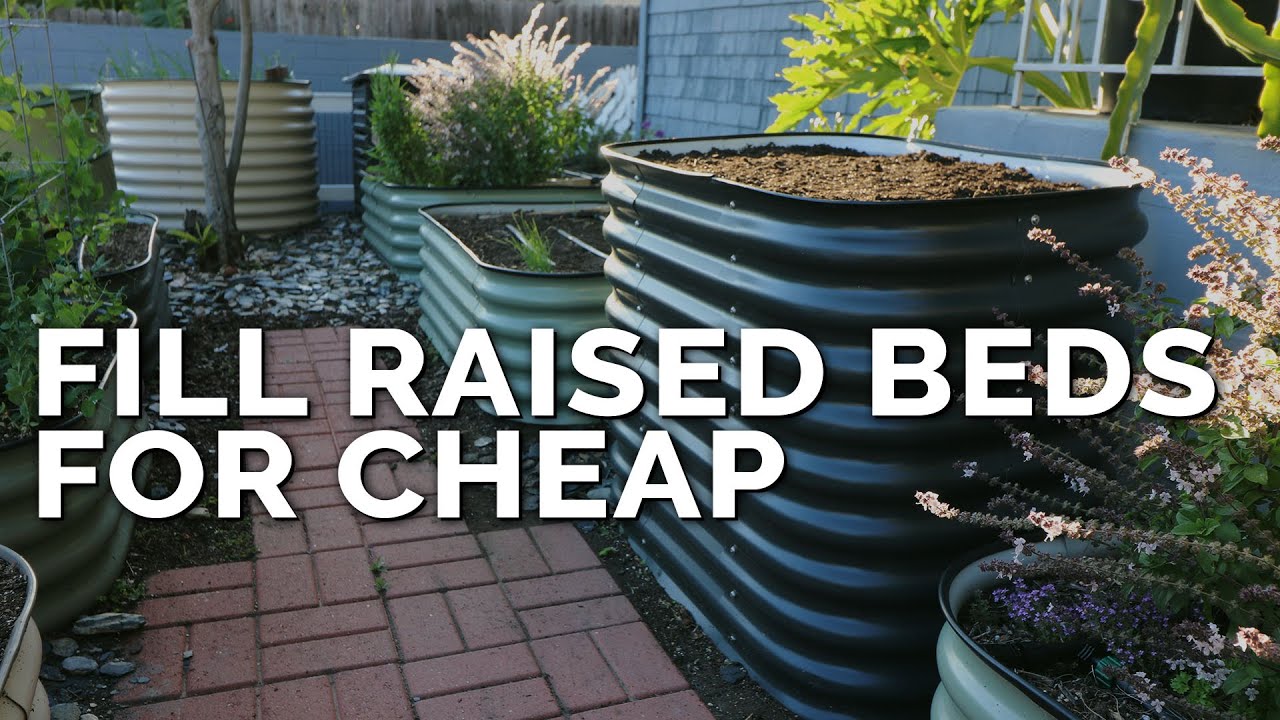 How to Fill a Raised Bed and Save 60%+ on Soil Costs ...