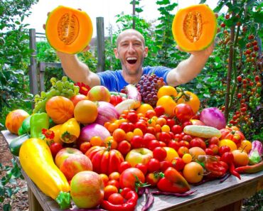 Amazing September Garden Harvest 😮