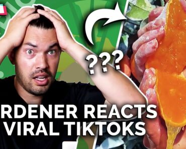 Gardener Reacts to Mind-Blowing Gardening TikToks 🤯