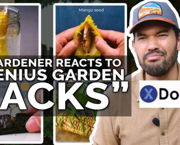 Gardener Roasts “13 Genius Gardening Hacks”