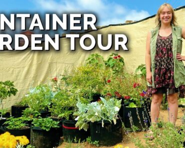 She Learned to Garden in a Cult 😱 | Container Garden Tour