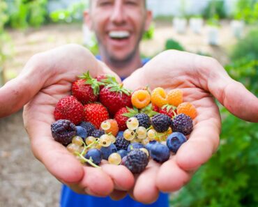 3 Fruits Every Beginner Gardener NEEDS To Plant IMMEDIATELY That Will Feed You For Life