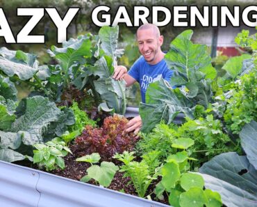 Companion Planting, the LAZY Way to Garden…