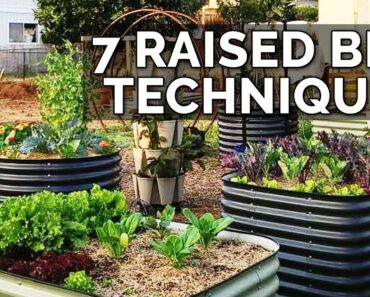 7 Raised Bed Gardening Techniques to Maximize Your Results