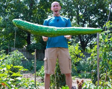 BIGGER Garden HARVESTS with LESS WORK