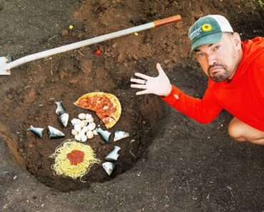 We Buried Common Kitchen Scraps in the Garden and THIS Happened 🤯