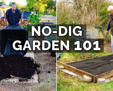 How to Make a No Dig Garden Bed With @CharlesDowding1nodig