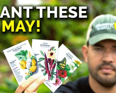 13 Crops You’d Be INSANE Not To Plant in May