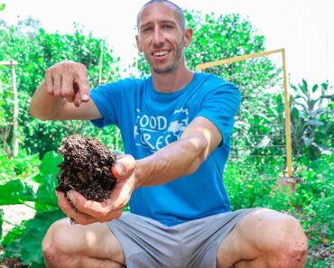 This is Why I’m NOT Gardening with WOOD CHIPS this Year