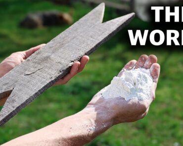 How to Actually get ORGANIC FRUIT from your Backyard Garden