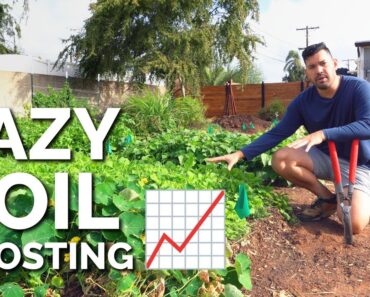 Cover Cropping: The LAZIEST Way to Improve Your Soil