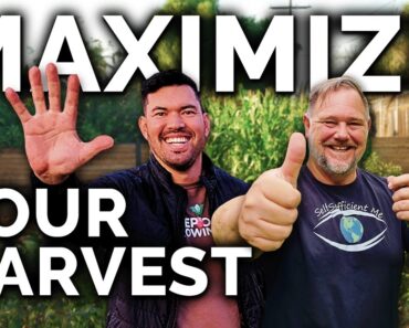 5 Easy Tips To Harvest MORE From Your Garden (with @Selfsufficientme)