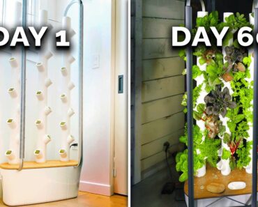 This Garden Grows Veggies Year-Round | Gardyn Review