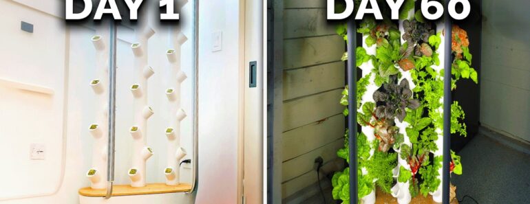 This Garden Grows Veggies Year-Round | Gardyn Review