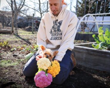 An Update on Tuck’s Health 🐕