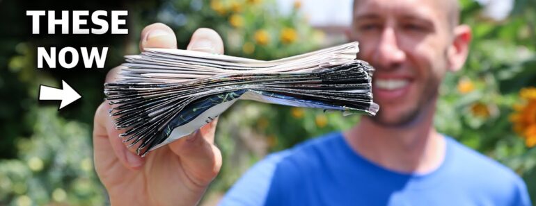 25 Crops You Can Plant In August!