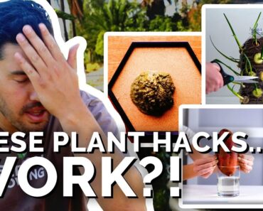 Gardener Reacts to “Plant Hacks” That…Actually Work?!