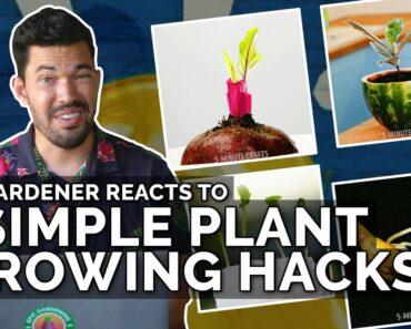 Gardener Reacts to “Simple Plant Growing Hacks”