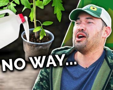 Gardeners React to YOUR Ridiculous Gardening Fails 💀