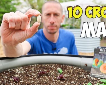 10 Crops You’d Be Mad Not to Plant in May