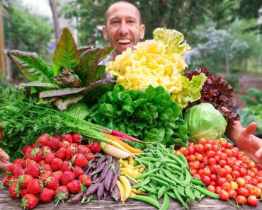 Unbelievable Backyard Garden Harvest, This is What I Harvested Today!