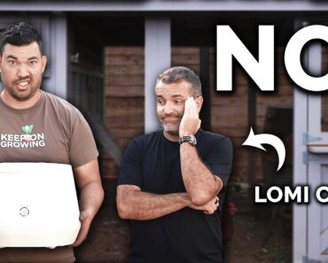 Should You Buy a Lomi Composter?