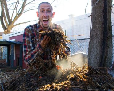 The TRUTH About Composting, Will It Really Turn Your Waste Into Perfect Garden Soil?