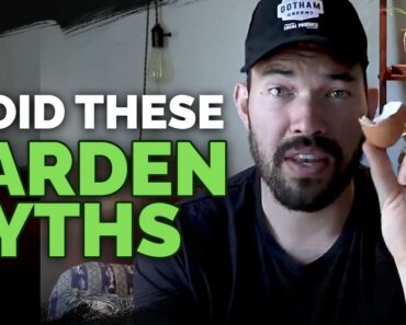 4 Garden Myths To Avoid Right Now