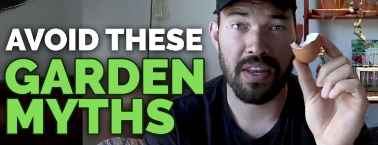 4 Garden Myths To Avoid Right Now