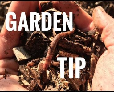 Garden Tip, MULCH