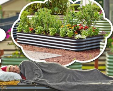 9 Easy Things To Do NOW For An Abundant Spring Garden